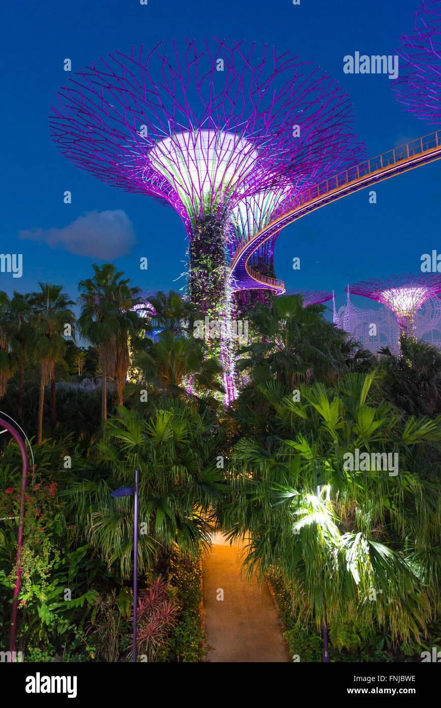 Supertrees Hain Lichtershow und Skyway Brücke in den Gärten an der Bucht, Singapur Stockfoto