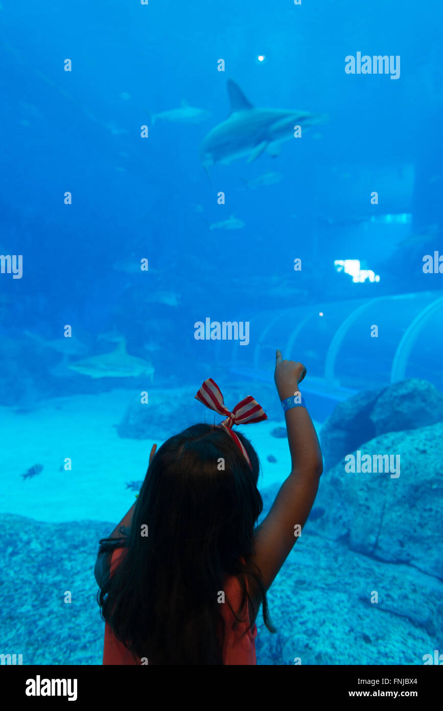 Kleine Mädchen zeigen Sie auf die Haie im Sentosa Aquarium, Singapur Stockfoto