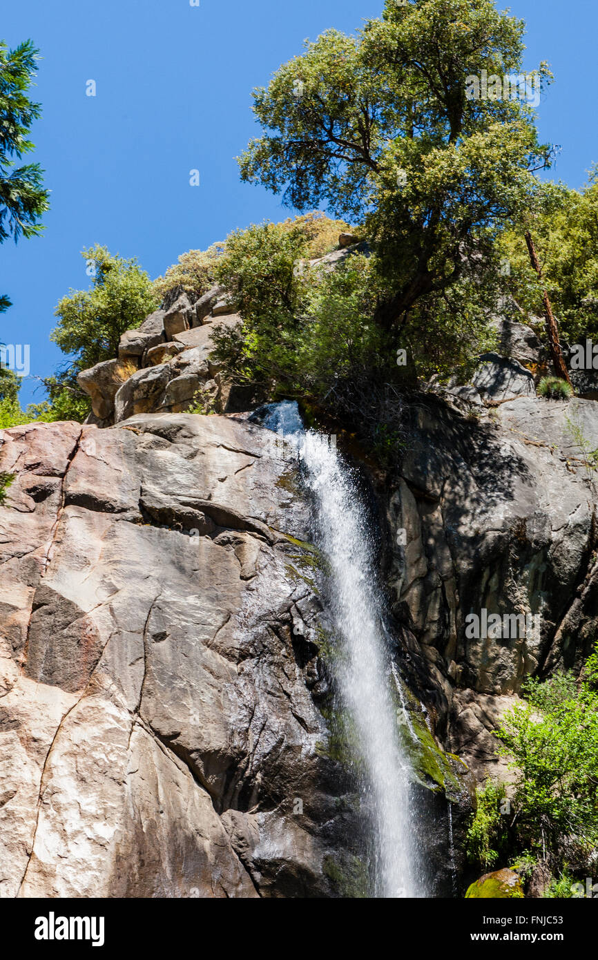 Grizzly-Fälle ist wahrscheinlich der attraktivsten Wasserfall auf einer typischen Tour in den Cedar Grove-Abschnitt des Sequoia National Fores Stockfoto