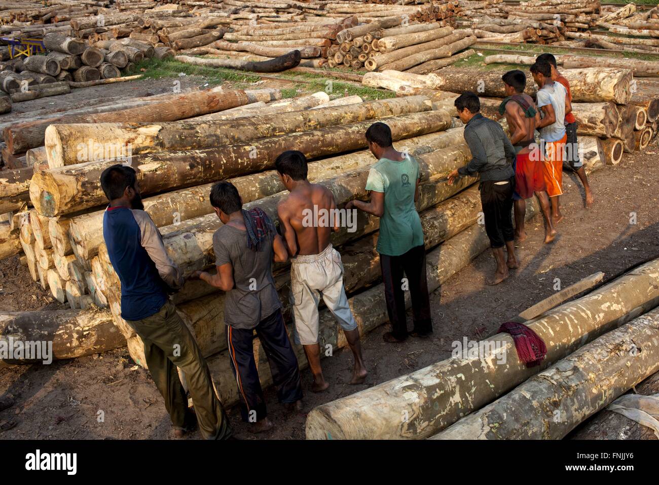 Dhaka, Dhaka, Bangladesh. 15. März 2016. 15. März 2016 Dhaka, Bangladesch '' "Bangladeshi Männer tragen Holz in Holz-Fabrik in Dhaka zu platzieren. Entwaldung ist eine große Bedrohung von Bangladesch. Entwaldung bedeutet Bäume in großer Zahl. Die Ursachen der Abholzung sind vielfältig. Laut Ökologen für lebenswerte Umwelt soll Wald auf dem Land 25 % der Gesamtfläche. In Bangladesch gibt es Wald 16 % der gesamten Landfläche. © K M Asad/ZUMA Draht/Alamy Live-Nachrichten Stockfoto