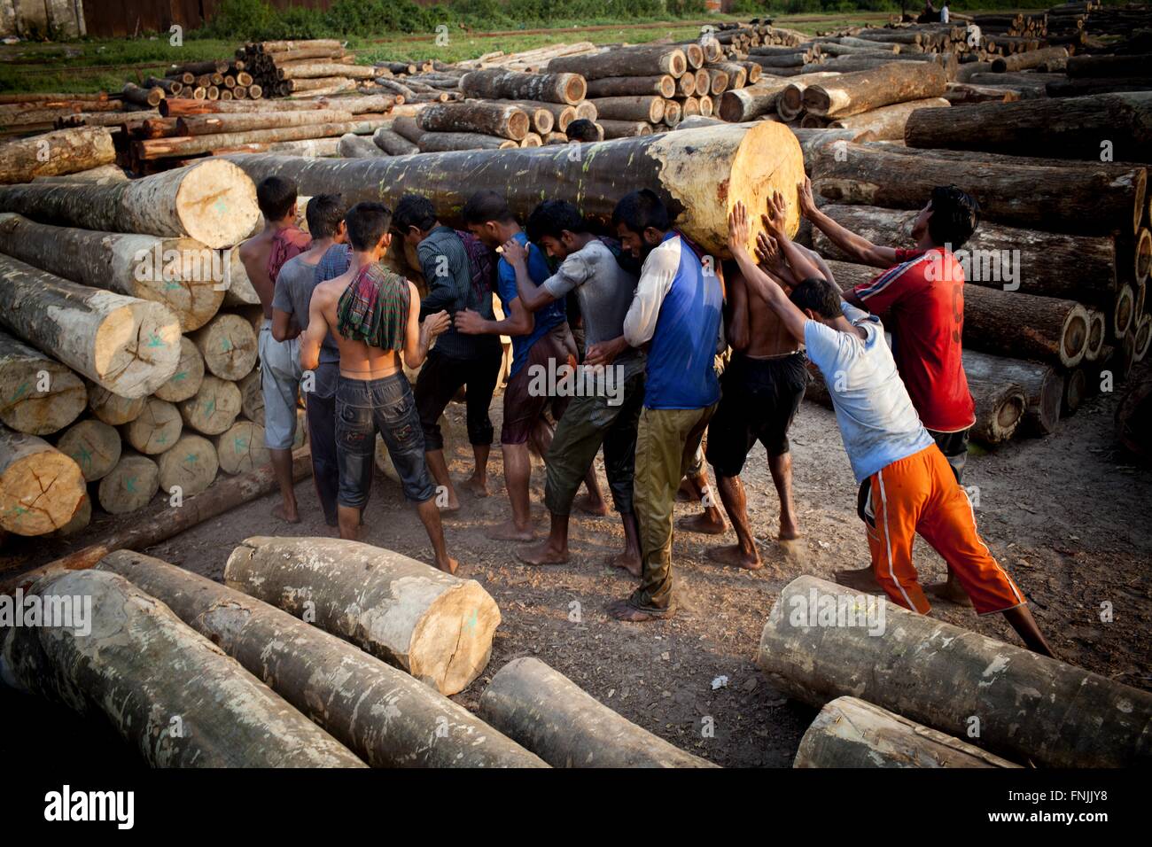 Dhaka, Dhaka, Bangladesh. 15. März 2016. 15. März 2016 Dhaka, Bangladesch '' "Bangladeshi Männer tragen Holz in Holz-Fabrik in Dhaka zu platzieren. Entwaldung ist eine große Bedrohung von Bangladesch. Entwaldung bedeutet Bäume in großer Zahl. Die Ursachen der Abholzung sind vielfältig. Laut Ökologen für lebenswerte Umwelt soll Wald auf dem Land 25 % der Gesamtfläche. In Bangladesch gibt es Wald 16 % der gesamten Landfläche. © K M Asad/ZUMA Draht/Alamy Live-Nachrichten Stockfoto