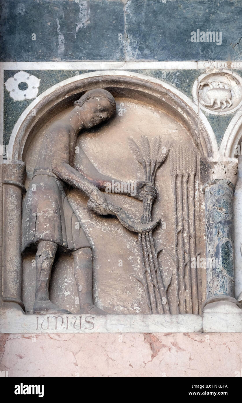Juni, Basrelief repräsentieren die Arbeit der Monate des Jahres, Portal der Kathedrale von St. Martin in Lucca, Italien Stockfoto