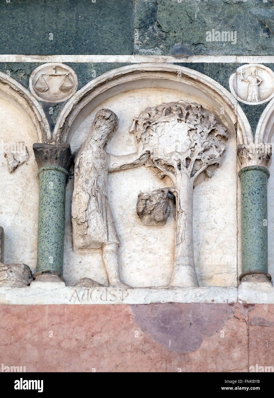 August, Basrelief repräsentieren die Arbeit der Monate des Jahres, Portal der Kathedrale von St. Martin in Lucca, Italien Stockfoto