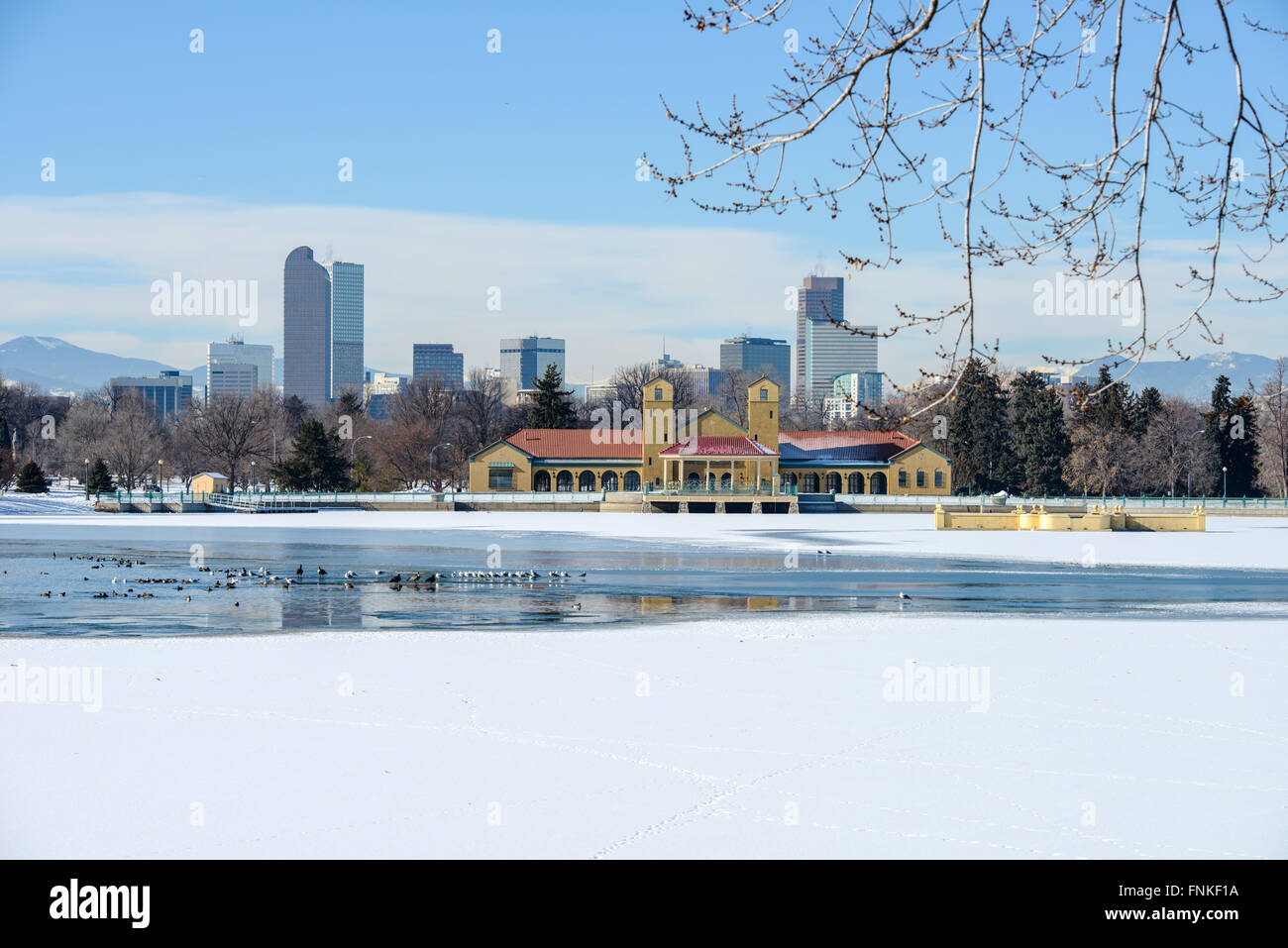 Winter am Stadtpark - eine weiße Winterlandschaft in einem Stadtpark an der Ostseite der Innenstadt von Denver, Colorado, USA. Stockfoto