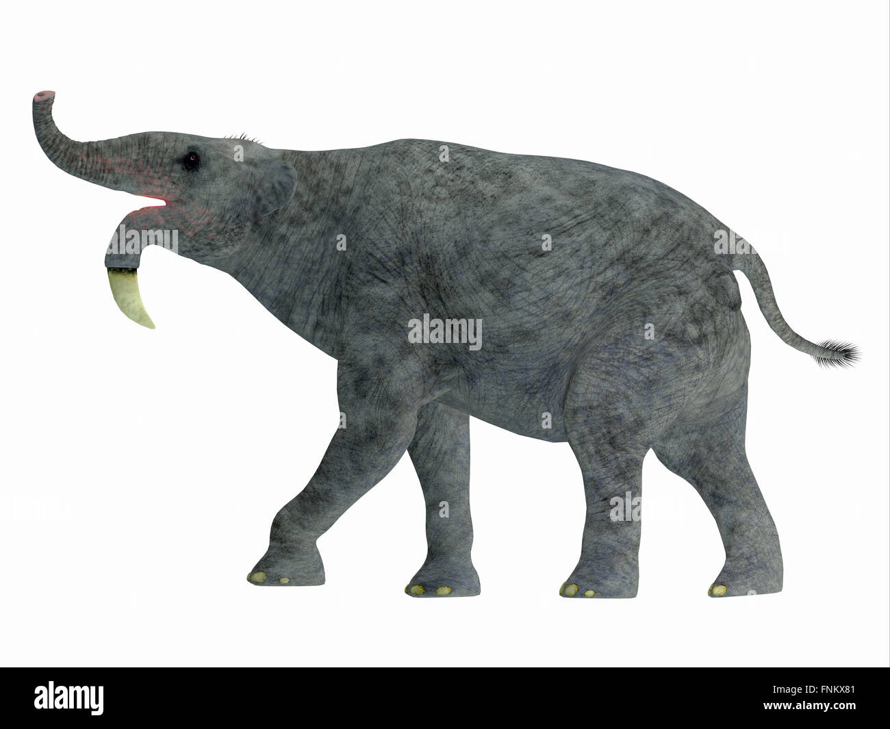 Dinoterium war eine enorme Landsäugetier, das in Asien, Afrika und Europa während des Miozän bis Pleistozän Perioden gelebt. Stockfoto