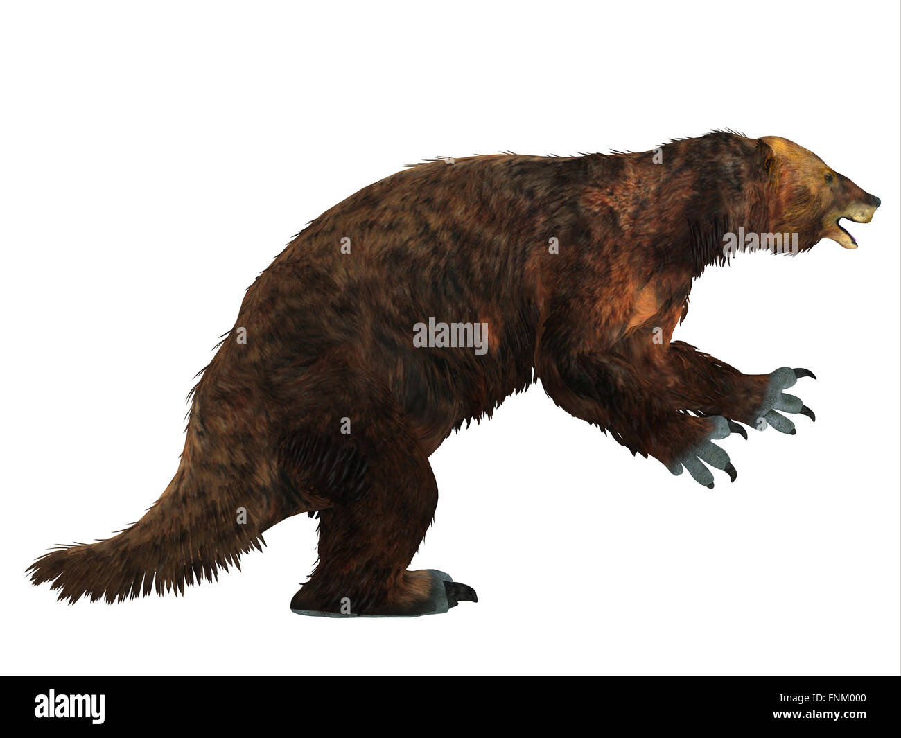 Megatherium war eines der größten Boden Faultiere, die in Mittel- und Südamerika im Pliozän bis Pleistozän lebte. Stockfoto