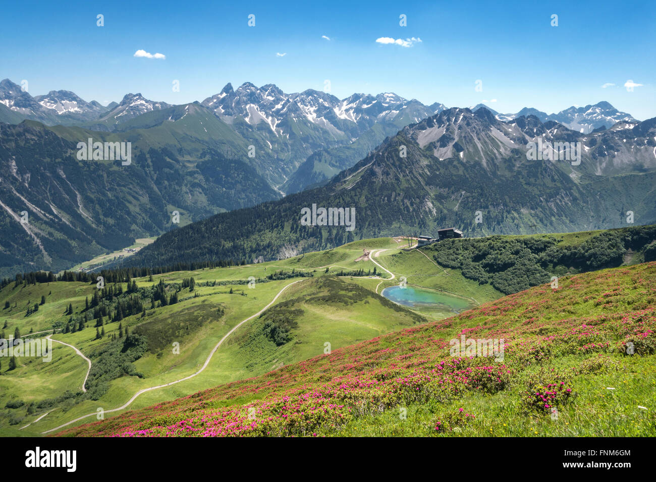 Blühende Alpenrosen in den Allgäu Alpen mit See Schlappoltsee und der Mittelstation der Fellhornbahn Stockfoto