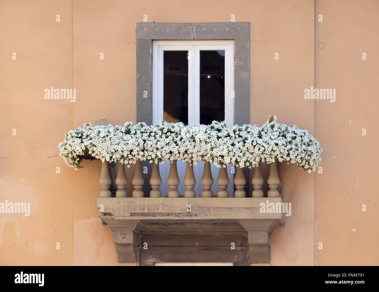 Altes Haus mit Blumen auf Balkon in Lucca, Italien, am 6. Juni 2015 Stockfoto