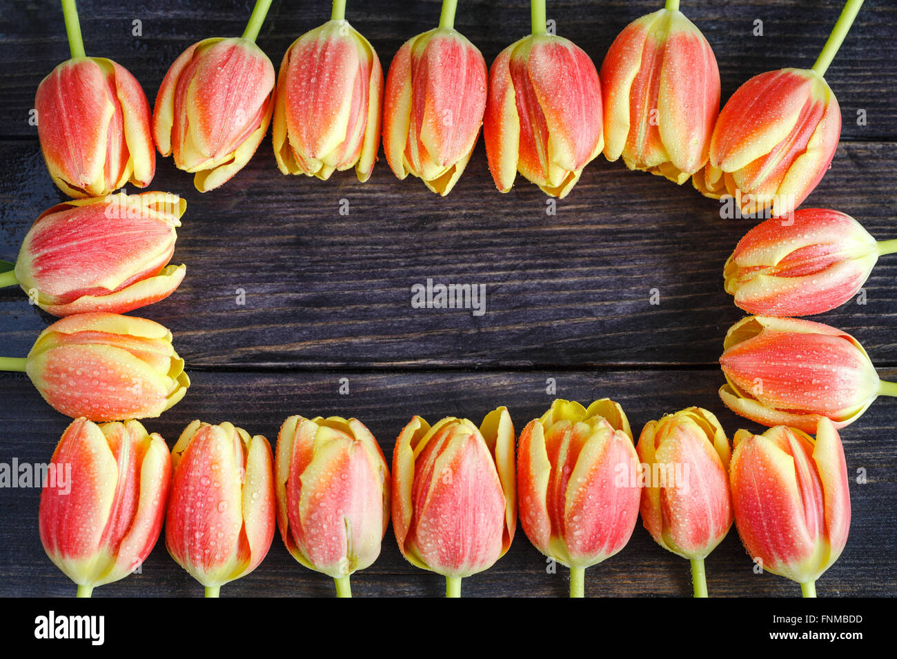 Bouquet von roten und gelben Tulpen auf einem hölzernen Hintergrund Stockfoto