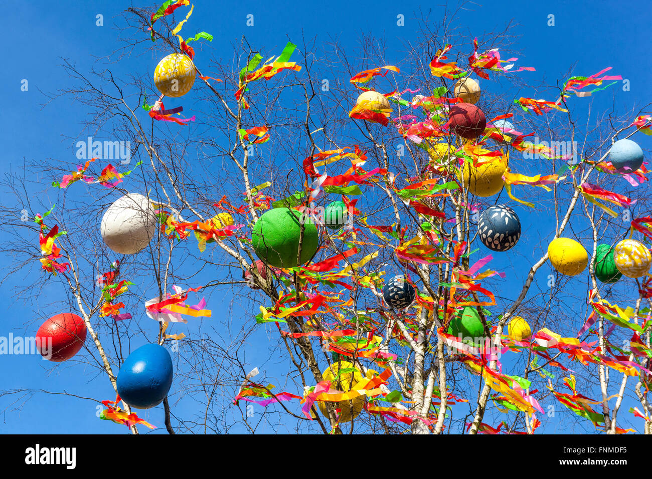 Bunt dekorierte Ostereier tschechische Ostereier hängen an Baum Birkenzweigen bunte Bänder Wind Ankunft Frühling traditioneller Urlaub Stockfoto