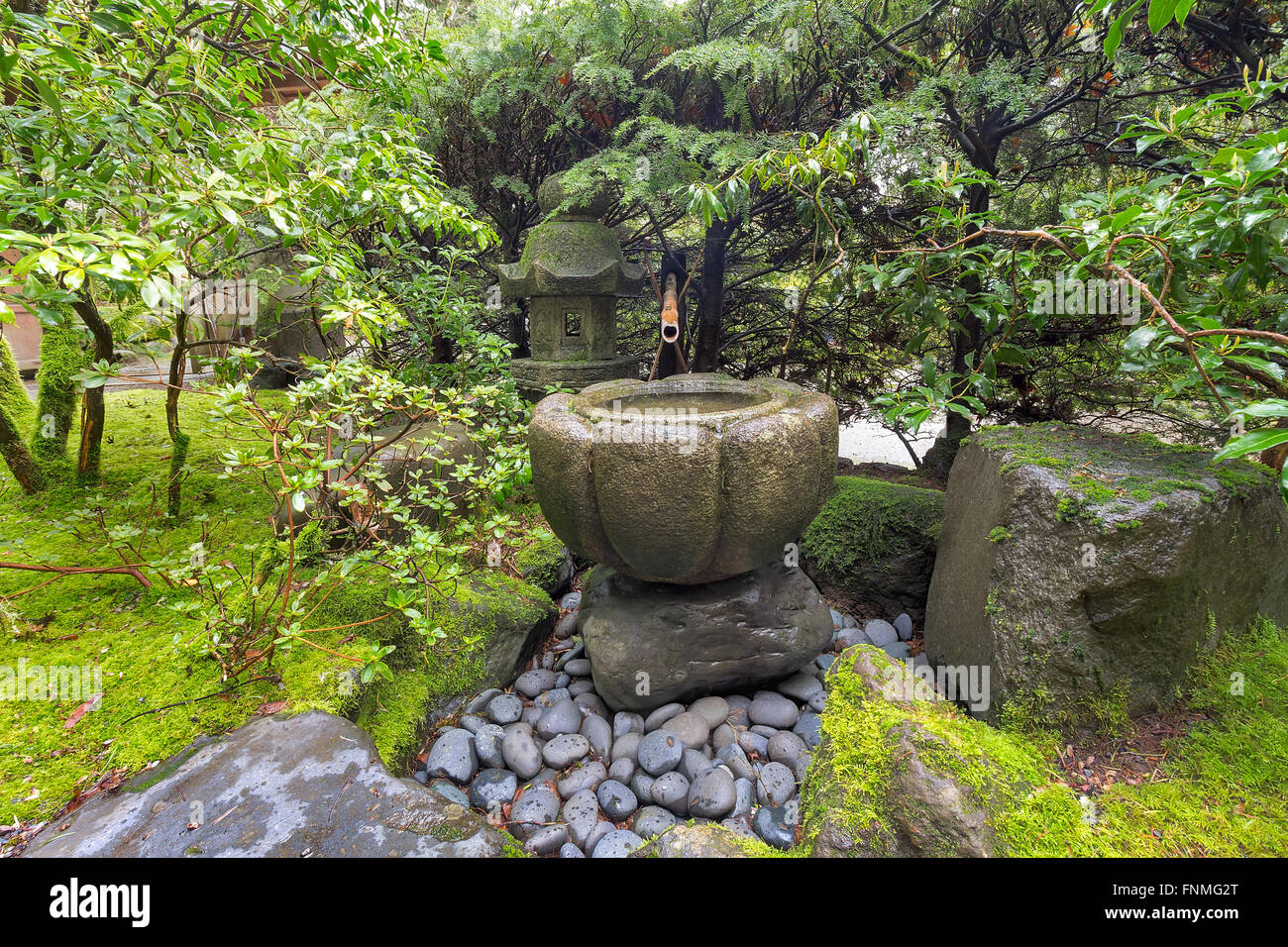Tsukubai Wasserbrunnen mit Bambus Kakeki und Steinlaterne im japanischen Garten im Frühjahr Stockfoto