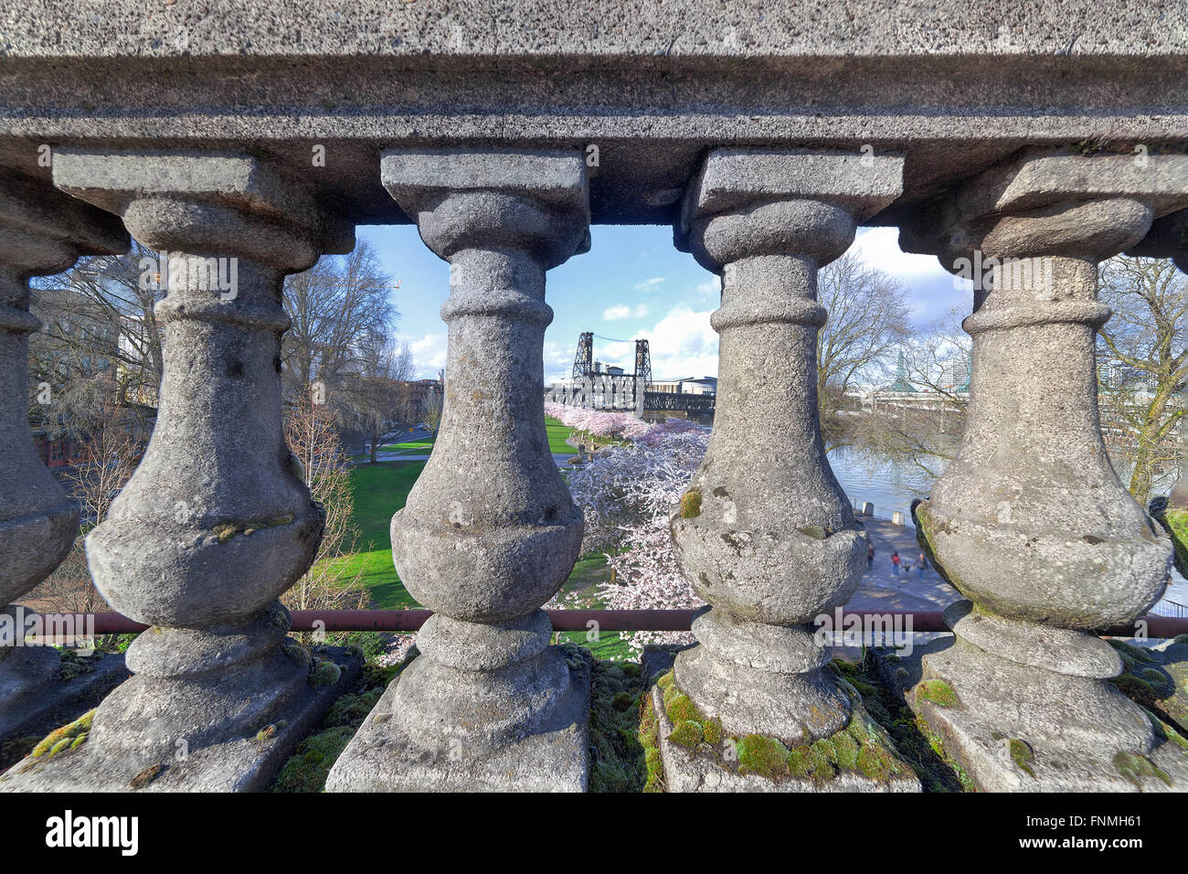 Blick von Cherry Blossoms Bäume durch die steinernen Balustrade auf Burnside Bridge in Portland, Oregon im Frühjahr Stockfoto