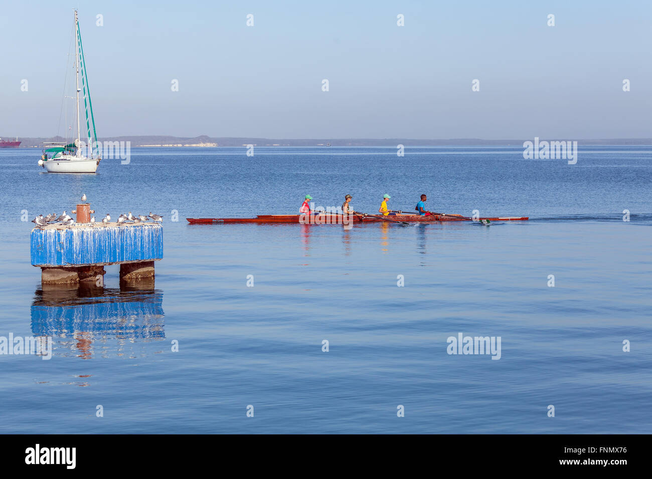 CIENFUEGOS, Kuba - 30. März 2012: Rudern Team von vier Männern und Yacht nur zur redaktionellen Verwendung. Stockfoto