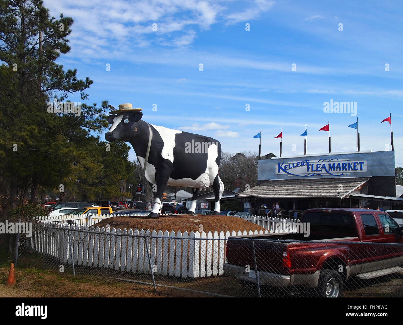 SAVANNAH, GEORGIA - 20. Februar 2016: Eine riesige Fiberglas Kuh Skulptur, ehemals Zugehörigkeit zu einer Savannah Bereich Molkerei, Jahrzehnte ag Stockfoto