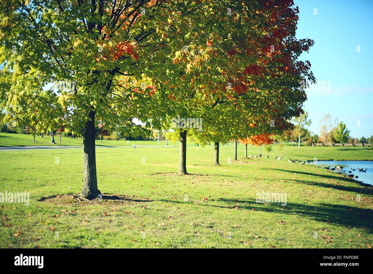 Bunter Herbst Stockfoto