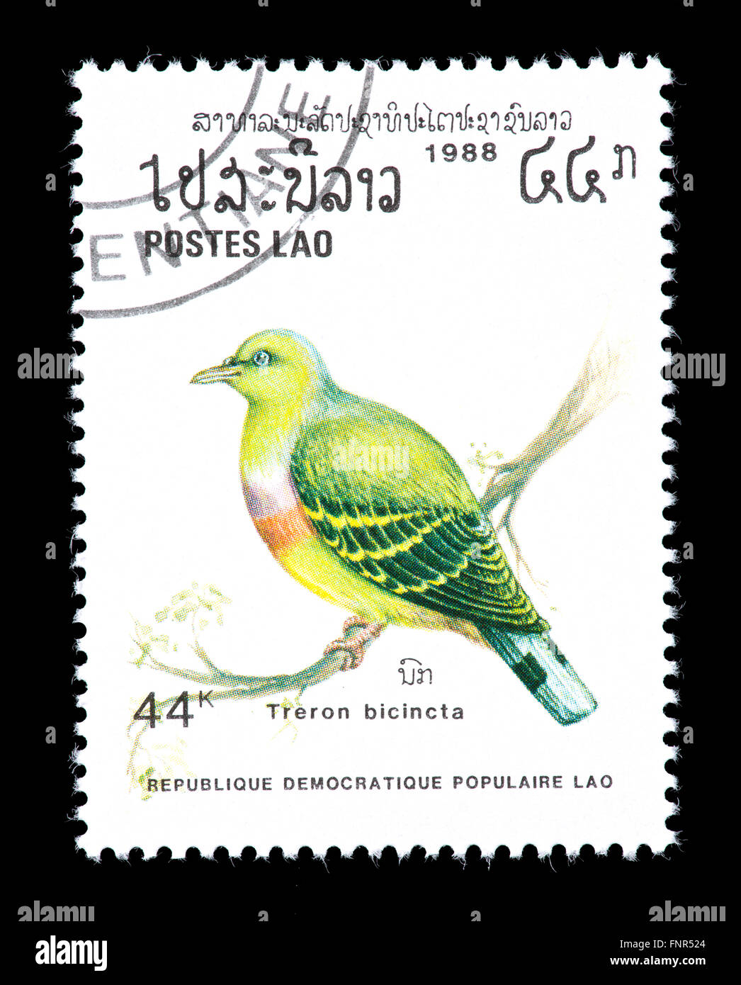 Briefmarke aus Laos Darstellung einer oranges breasted grüne Taube (Treron Bicincta) Stockfoto