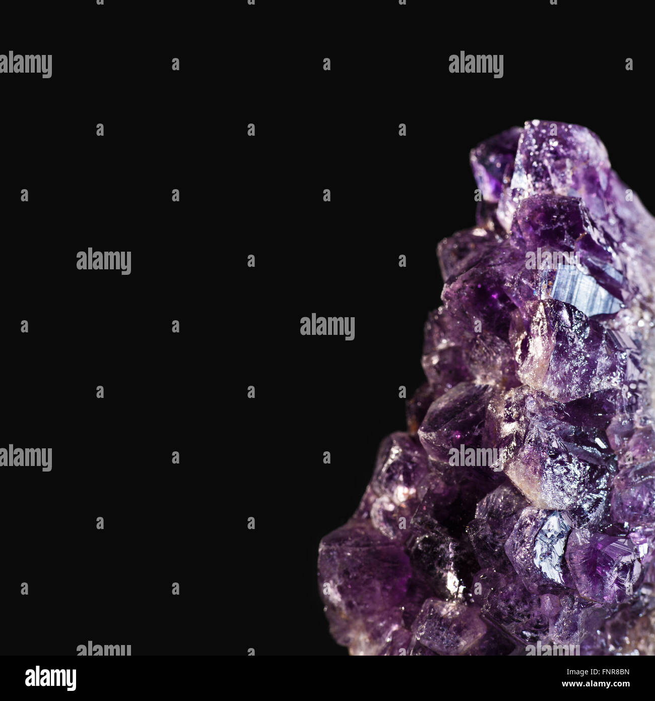 Amethyst Stein vor schwarzem Hintergrund Stockfoto