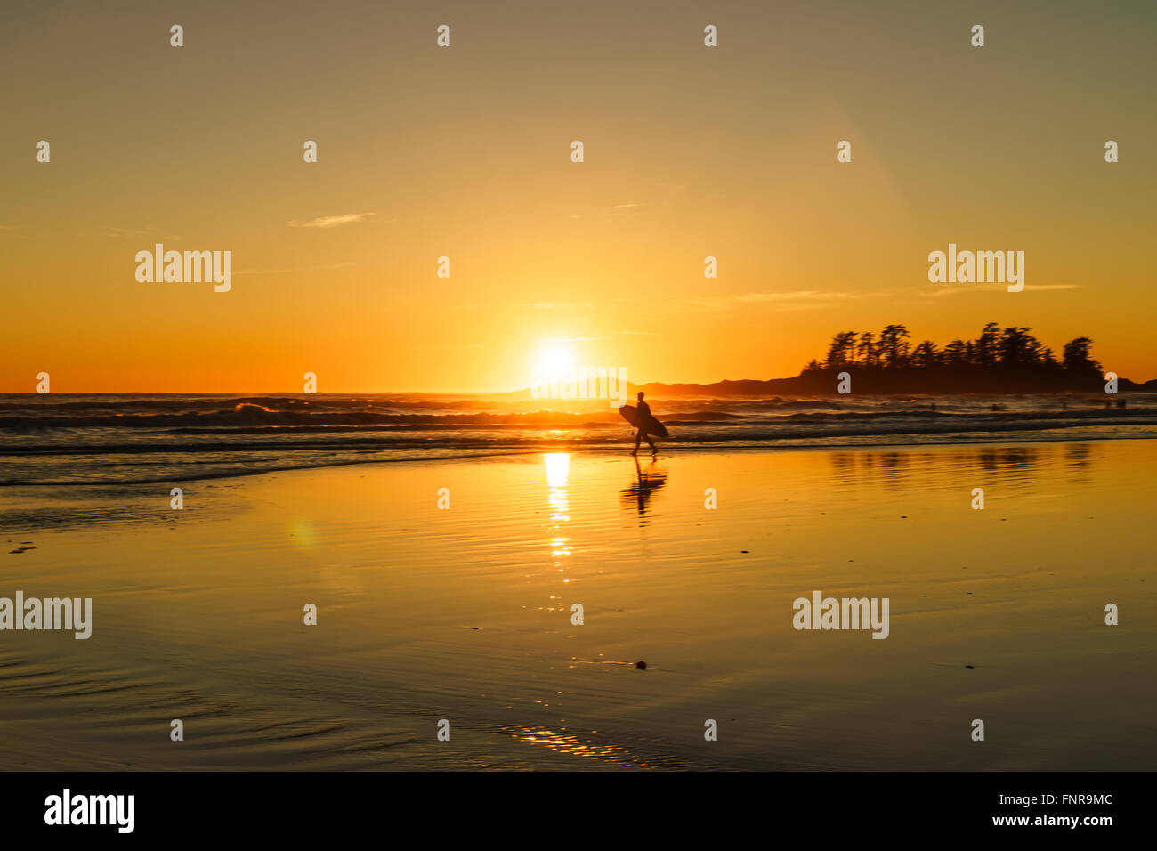 Surfer bei Sonnenuntergang am Chesterman Beach in Tofino, Britisch-Kolumbien, Kanada Stockfoto