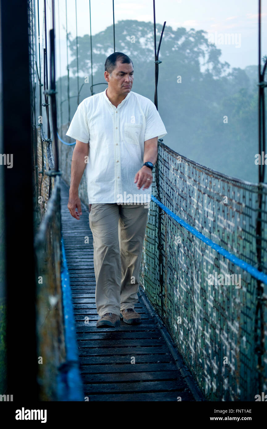 Präsident von Ecuador Rafael Correa Kreuzung Baldachin über dem Amazonas Regenwald während der Dreharbeiten von Ecuador: The Royal Tour. Stockfoto