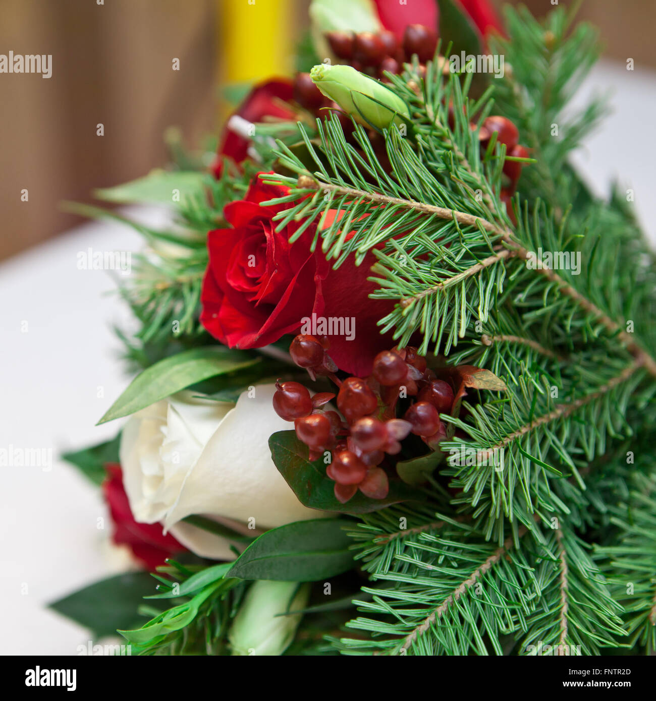 Winter-Brautstrauß Blumen und Tannenzweigen Stockfoto