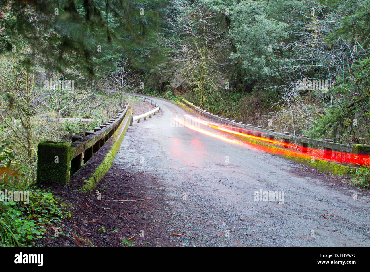 Autolichter gehen über eine Brücke über den Redwoods in Nordkalifornien, del Norte County, Redwood Nationalparks Stockfoto