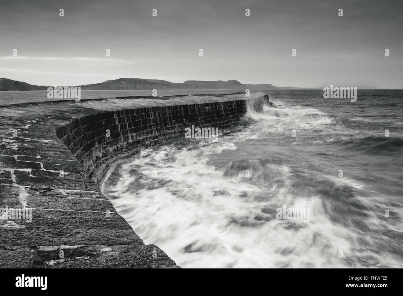 Die berühmten Cobb in Lyme Regis, eine alte Welle-Pause für den Hafen.  Erbaut ca. 1313 Stockfoto