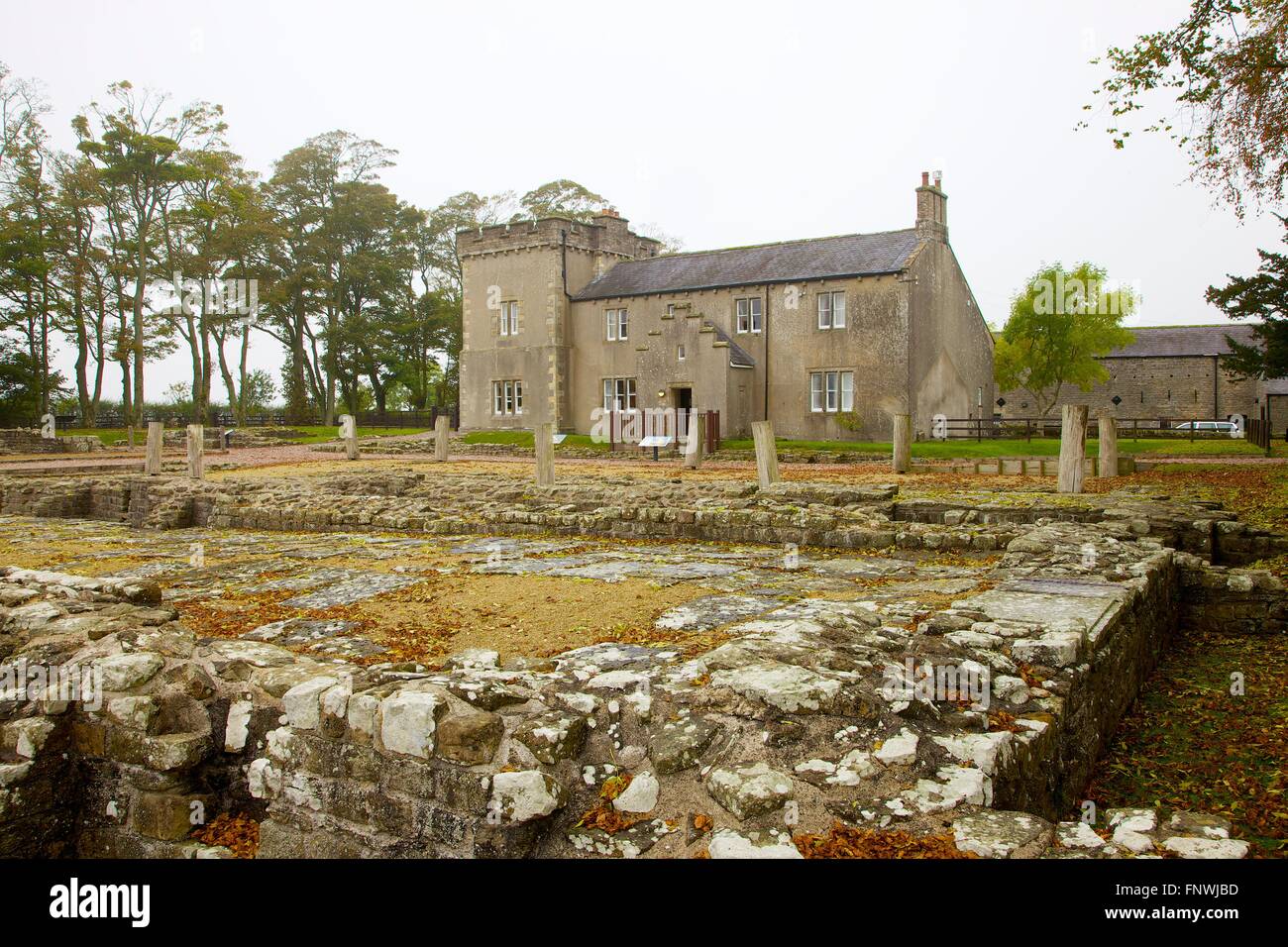 Der Hadrianswall. Birdoswald Roman Fort, Cumbria, England, Vereinigtes Königreich. Stockfoto