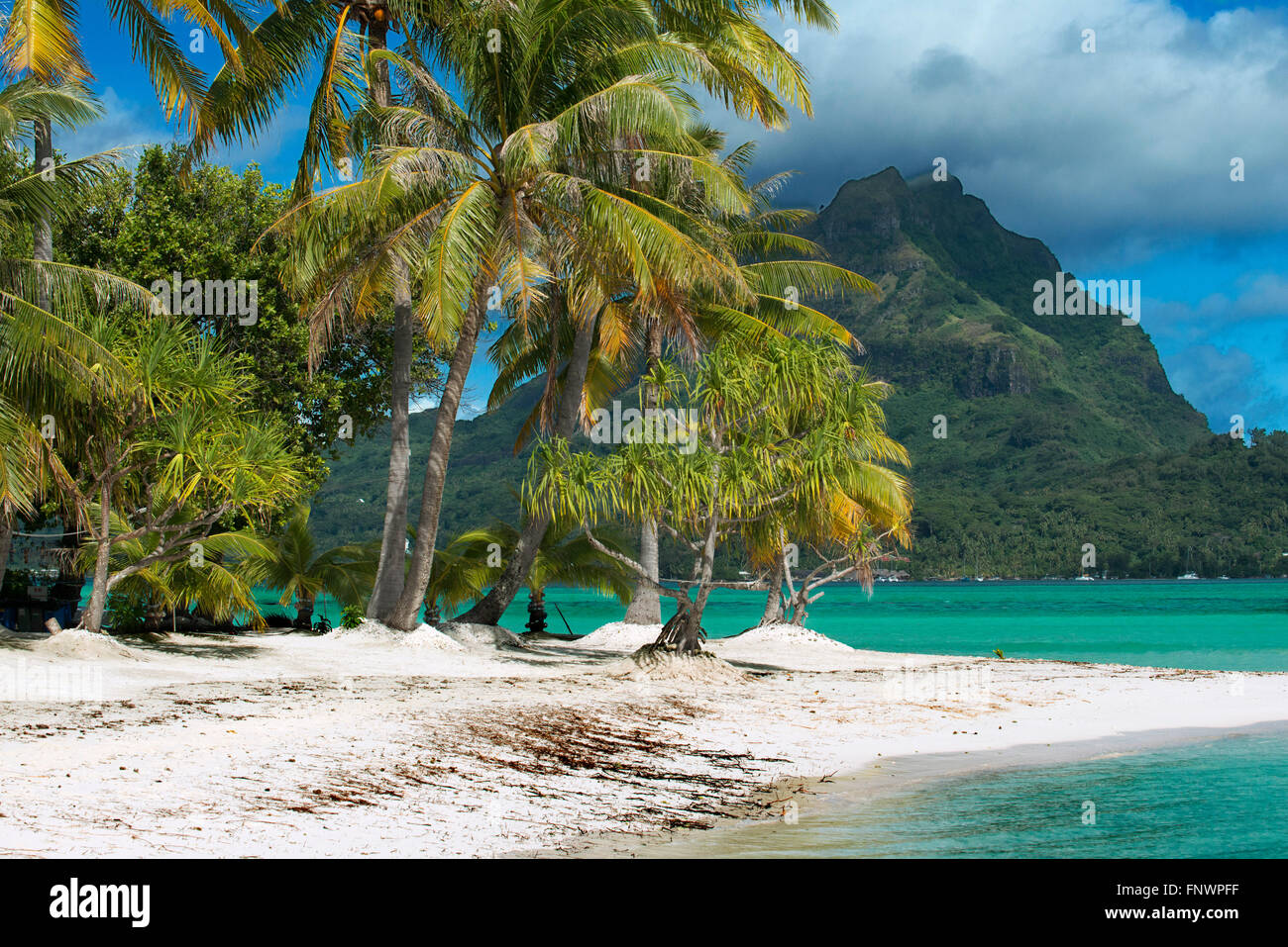Strand von Motu Tapu, einer kleinen Insel in der Lagune von Bora Bora, Gesellschaftsinseln, Französisch-Polynesien, Südsee. Stockfoto