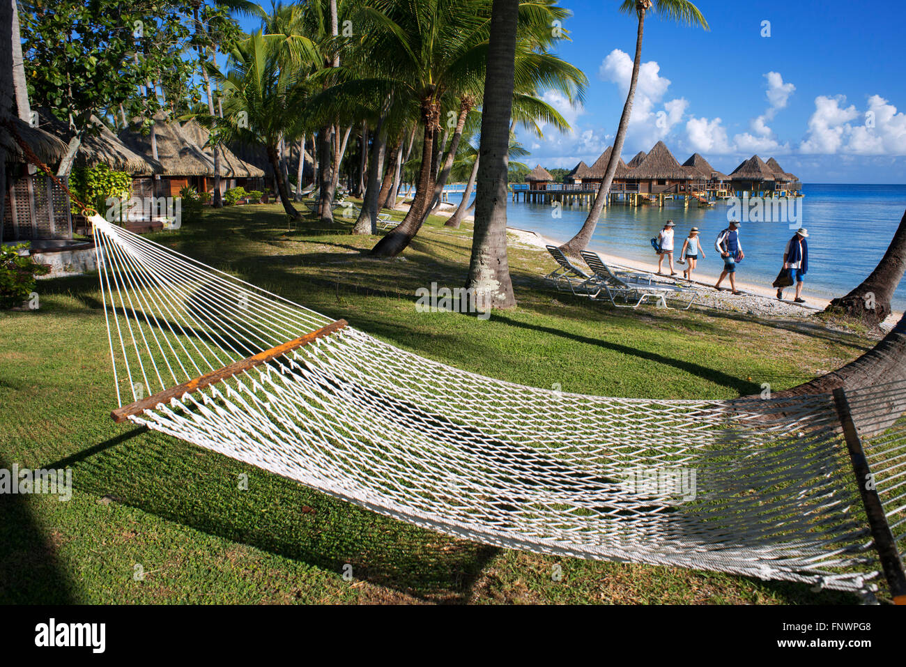 Hängematte unter Kokospalmen im Luxus Hotel Kia Ora Resort & Spa auf Rangiroa, Tuamotu-Inseln, Französisch-Polynesien. Stockfoto