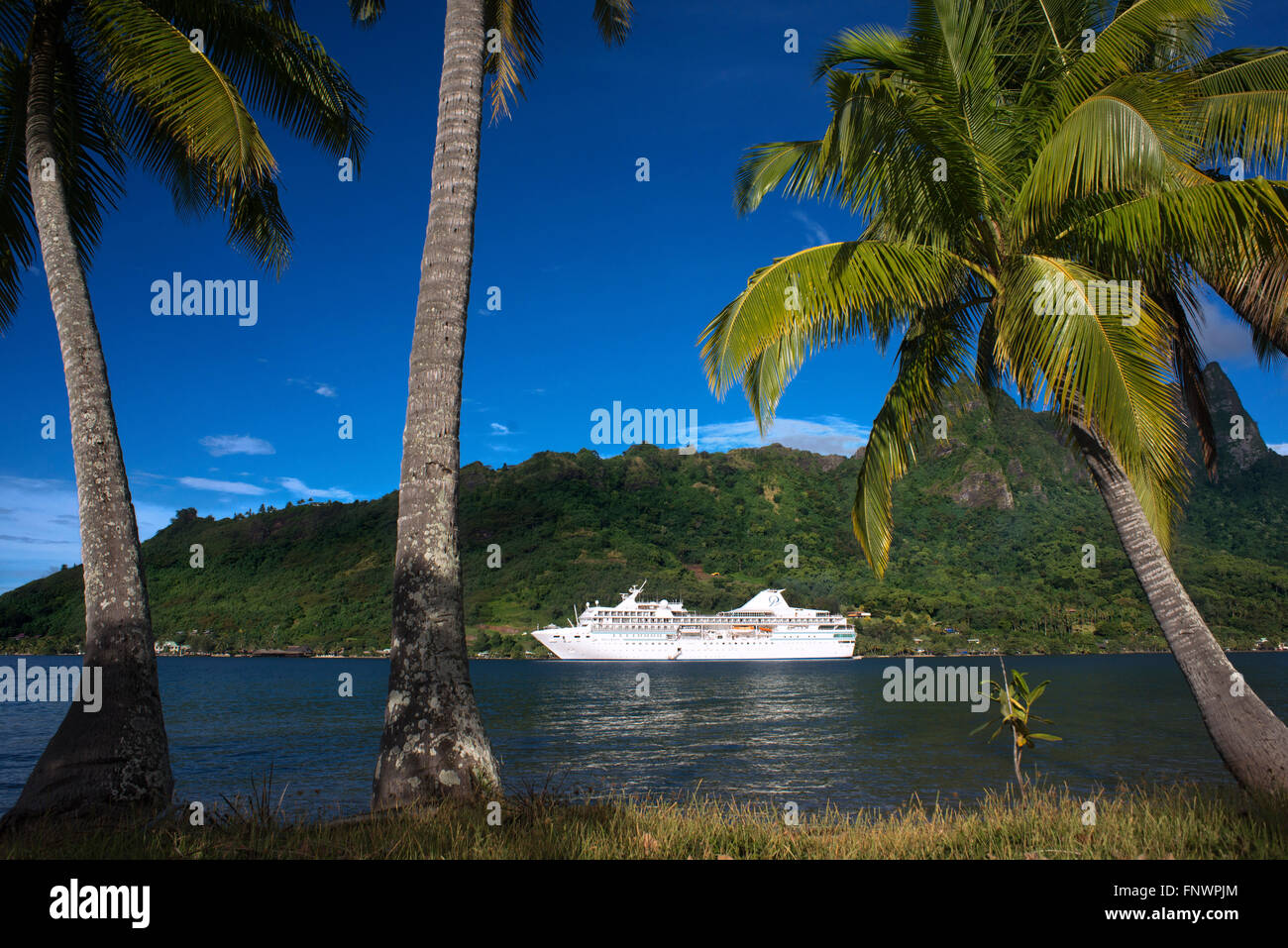 Paul Gauguin cruise in Moorea, Gesellschaftsinseln, Französisch-Polynesien Südsee verankert. Stockfoto