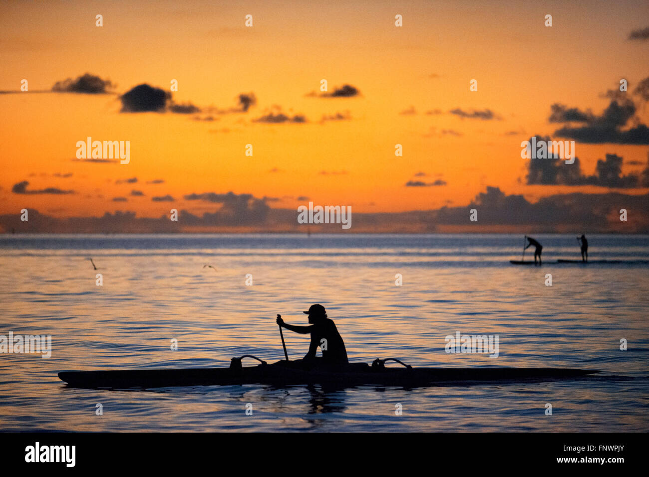 Rudern bei Sonnenuntergang in Französisch-Polynesien, Tahiti Nui, Gesellschaftsinseln, Französisch-Polynesien, Tahiti, Südsee. Stockfoto