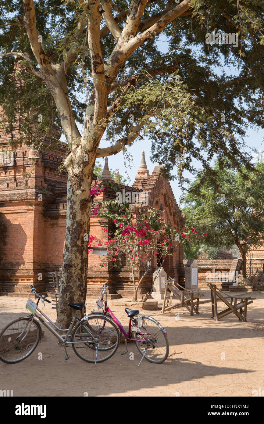 Vertikale Außenaufnahme des alten Stein-Pagode (Tempel) in Bagan, Myanmar, eingerahmt von Baum und zwei Fahrräder im Schatten Stockfoto