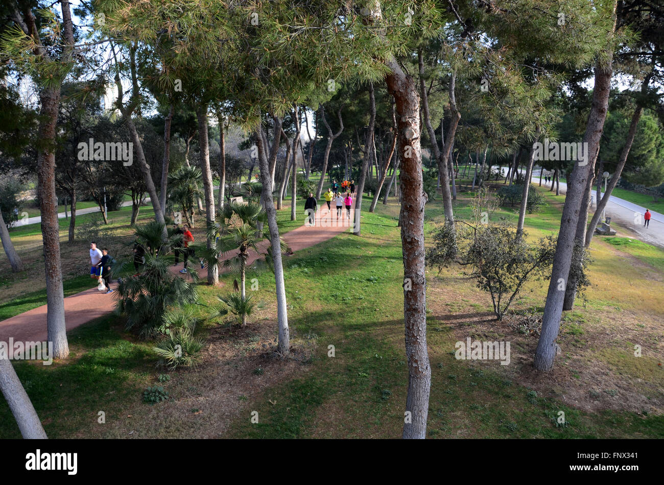 Joggen im Jardin del Turia, Valencia, Spanien Stockfoto