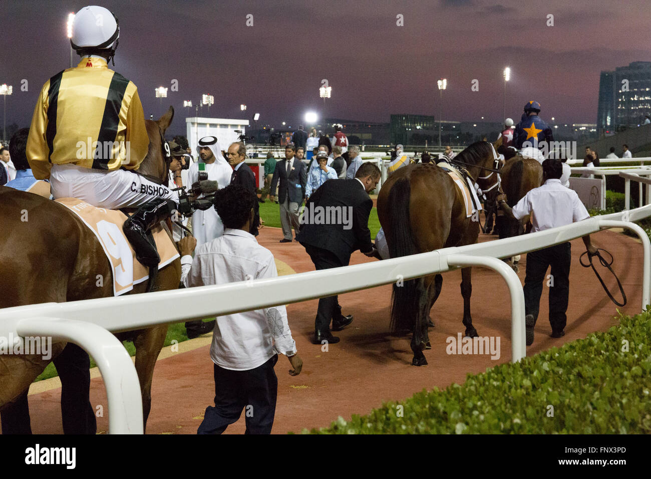 Pferde und im Fahrerlager am Meydan Racecourse jokey Stockfoto