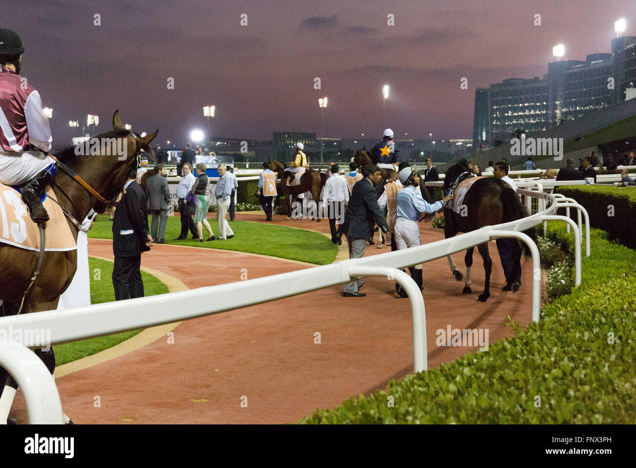 Pferde und im Fahrerlager am Meydan Racecourse jokey Stockfoto
