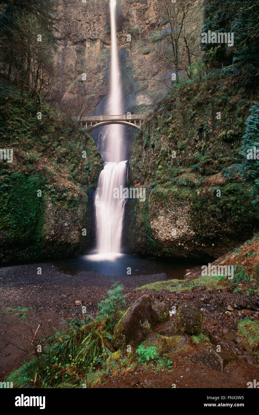 Multnomah Falls, Columbia River Gorge, Oregon, Usa, USA Stockfoto