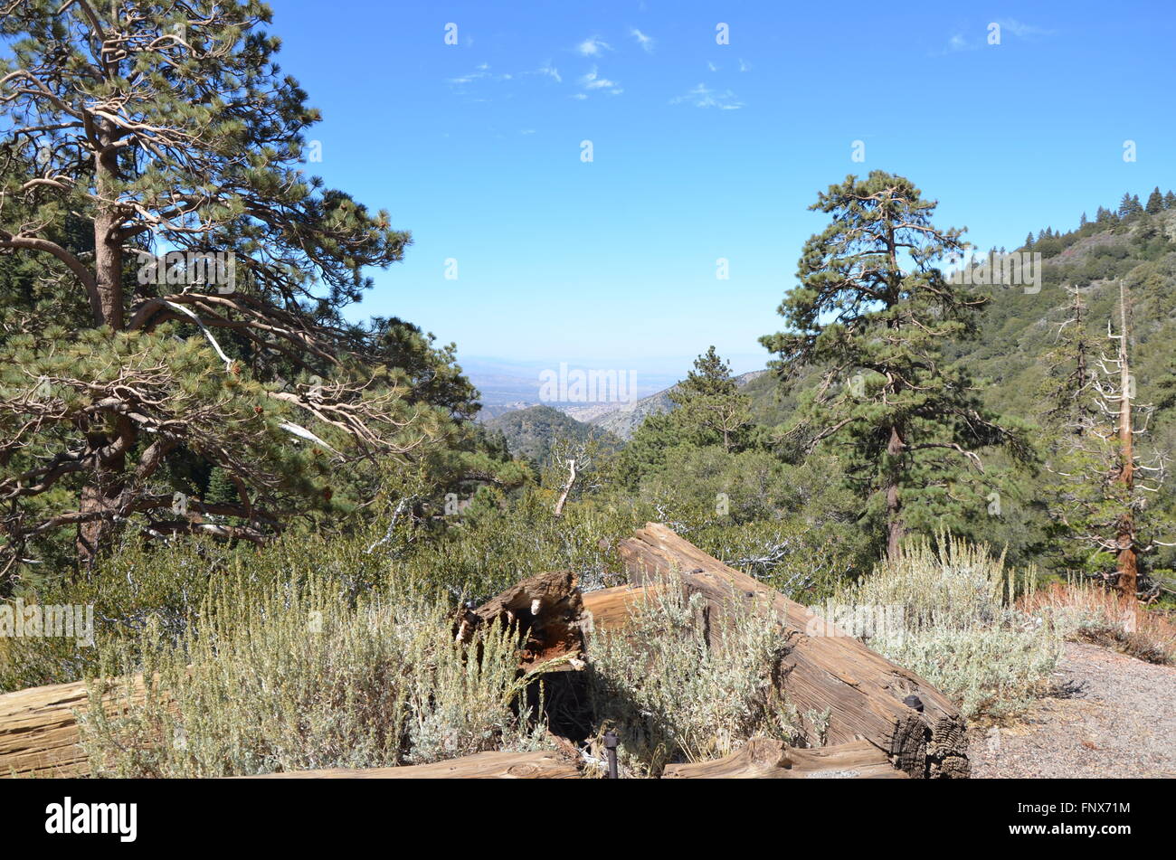 Ein Blick von den San Gabriel Mountains am Highway 2 in Südkalifornien östlich von Los Angeles Stockfoto