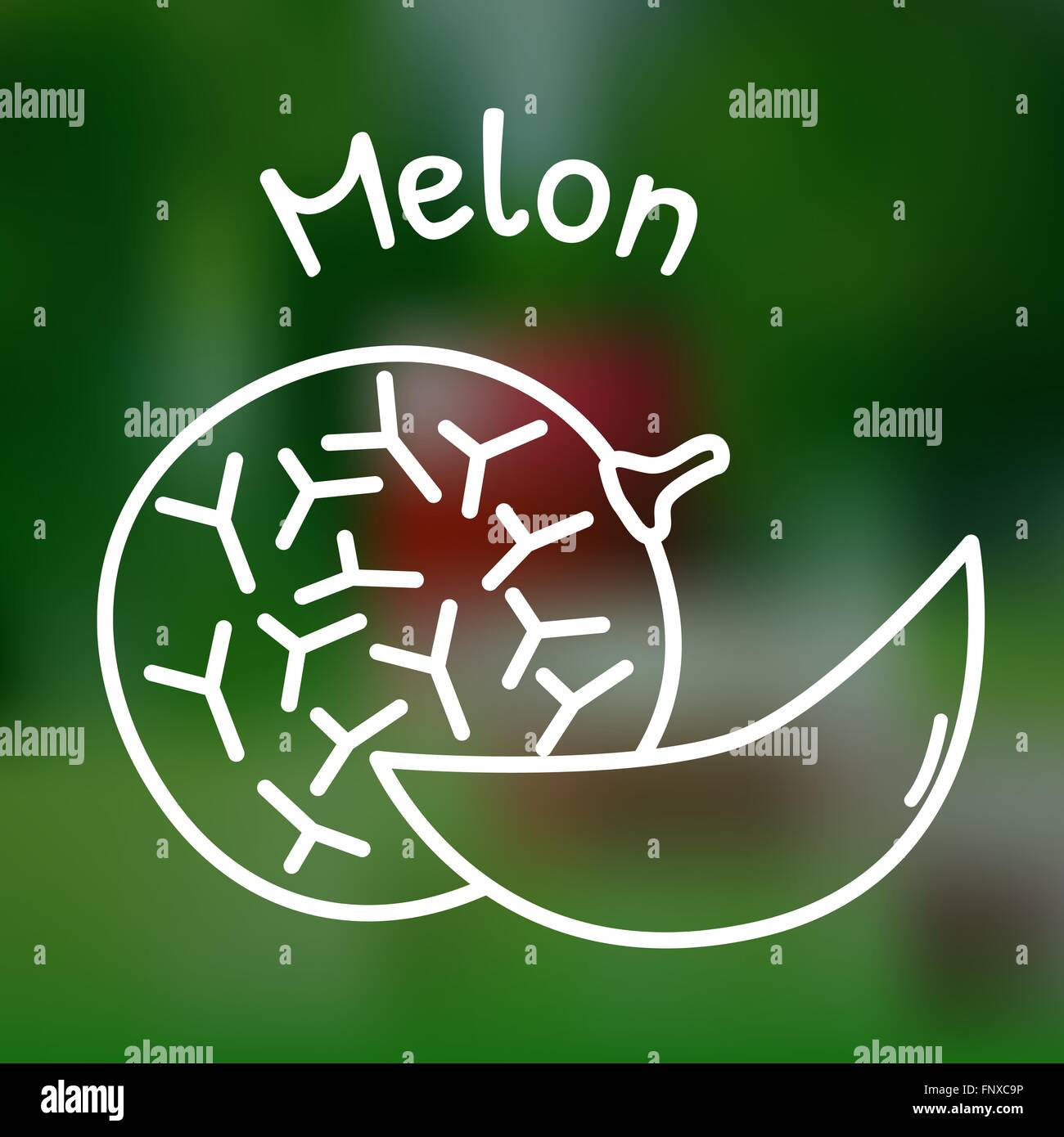 Weiße dünne Liniensymbol der Melone mit Namen auf Netz-Hintergrund Stock Vektor