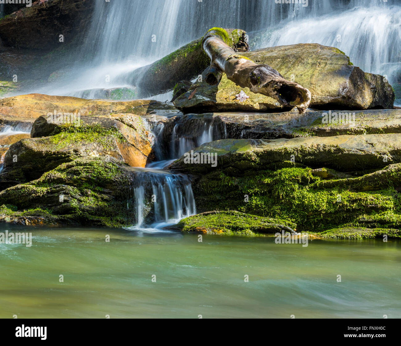 Wasser der Bäche, Moos bedeckt Felsen in Deep Creek in den Great Smoky Mountains National Park Stockfoto