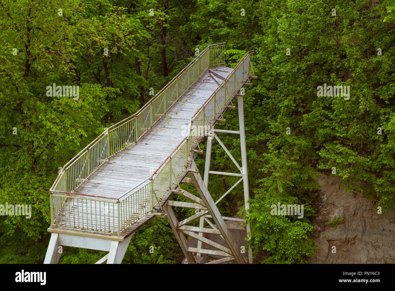 Brücke in der Nähe von Valaste Wasserfall in der Provinz von Estland, Valaste Juga. Panoramablick auf den Küstenwald Stockfoto