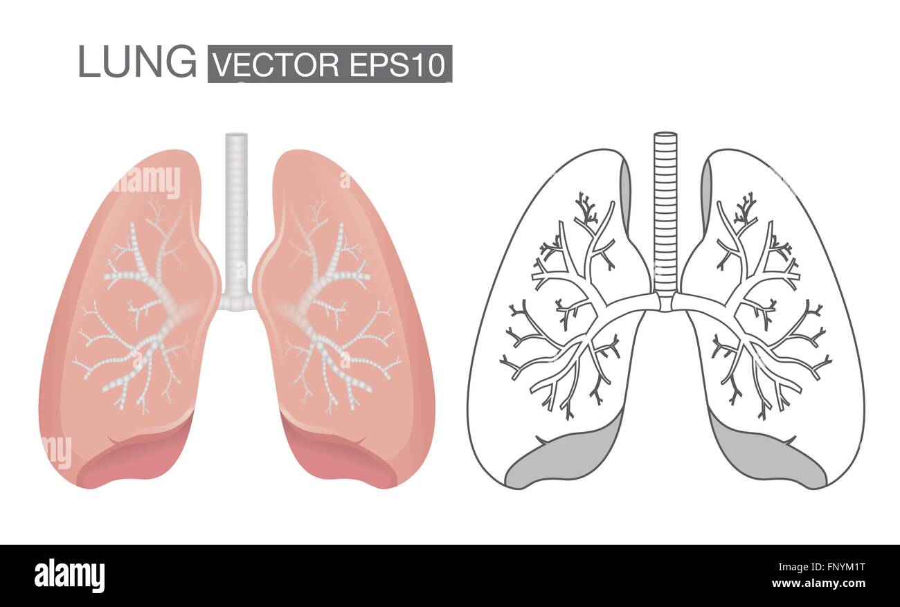 Lunge-Vektor Stock Vektor