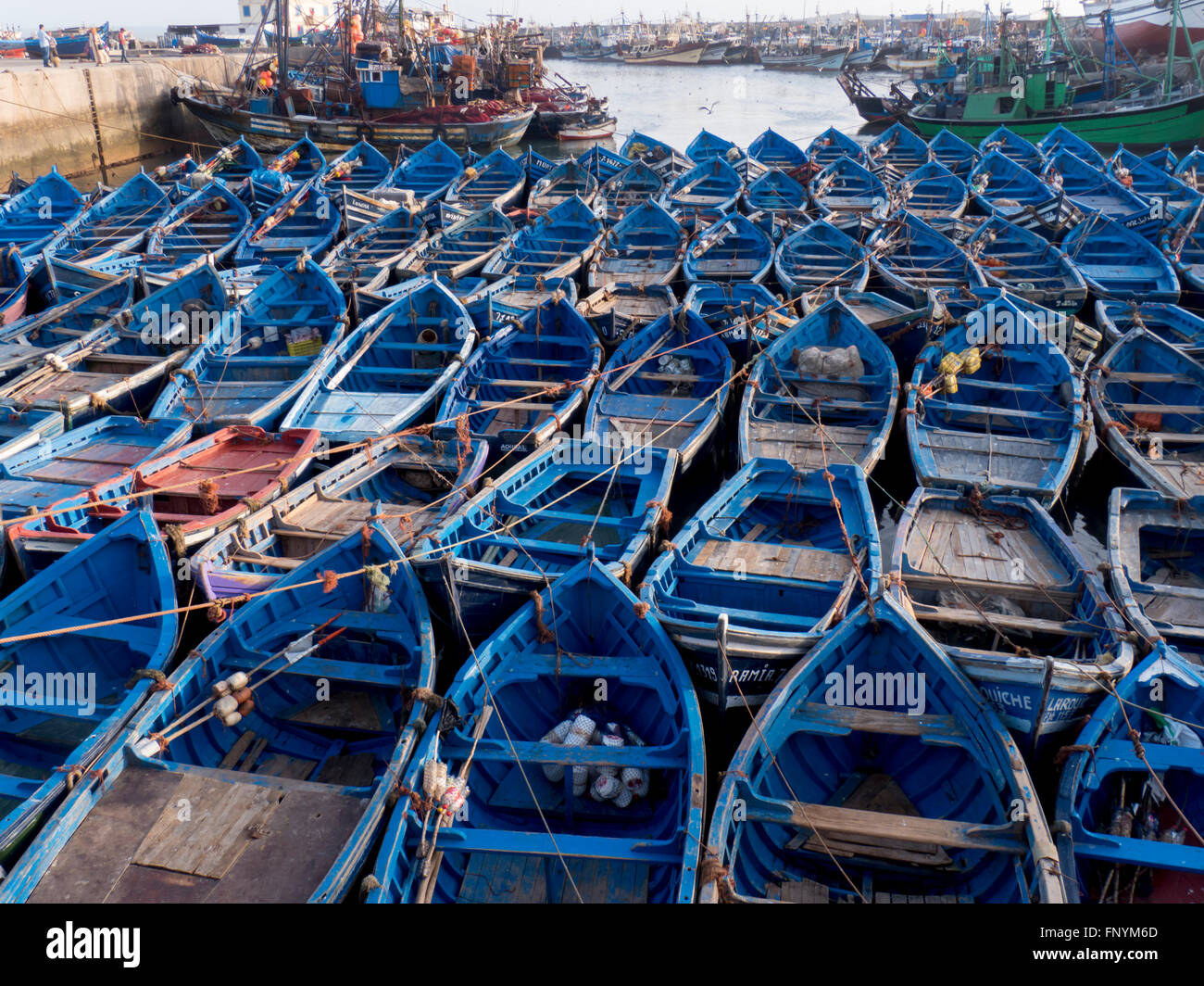 Marokko Essaouira Fischereihafen Stockfoto