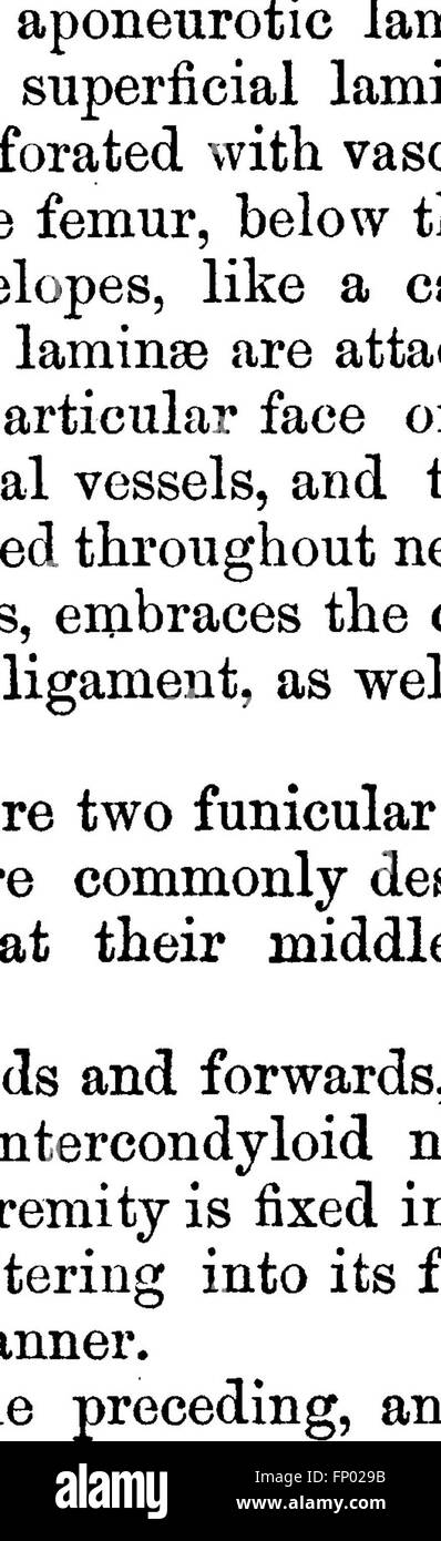 Die vergleichende Anatomie der domestizierten Tiere (1873) untersucht die anatomischen Strukturen domestizierter Arten und hebt deren Ähnlichkeiten und Unterschiede hervor. Stockfoto