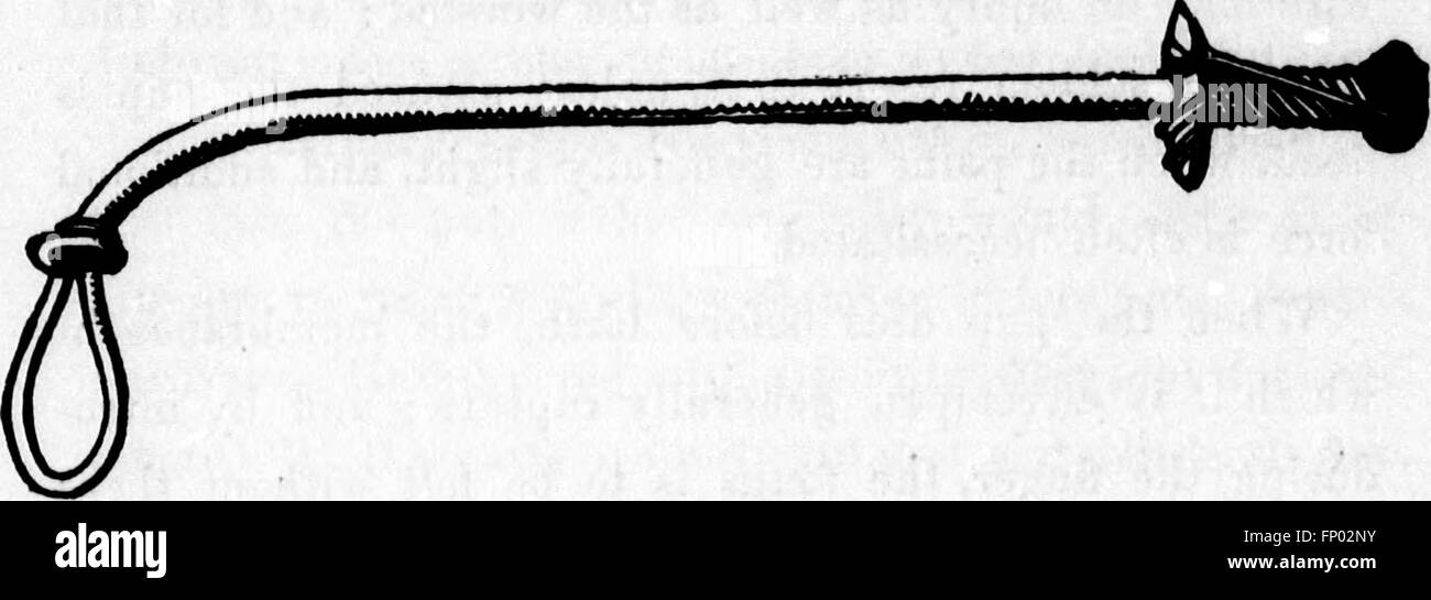 Der Hund (Mikroform) - Dinks, Mayhew und Hutchinson; zusammengestellt, gekürzte, bearbeitet und illustriert von Frank Forester (d.h. Henry William Herbert) (1873) Stockfoto