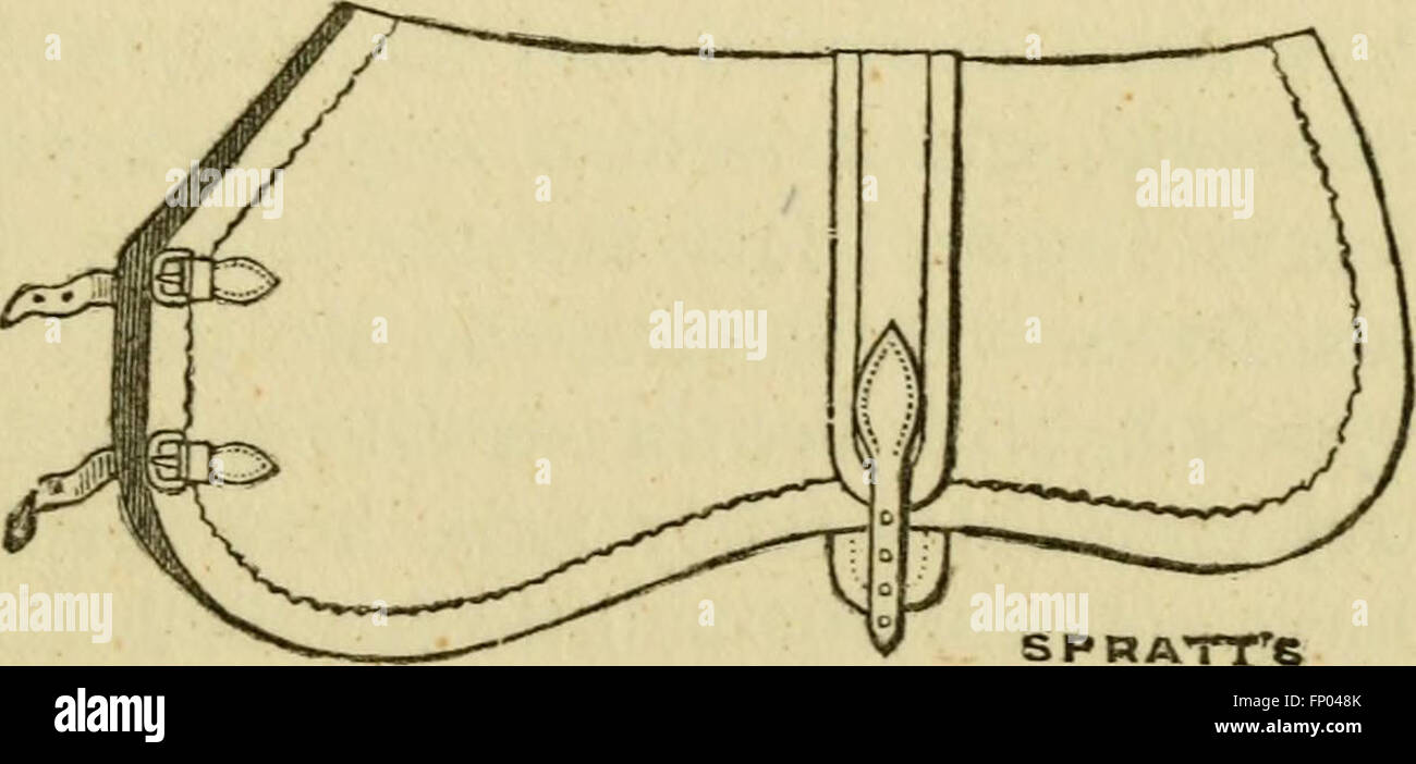 Dieses Handbuch für 1913 bietet einen umfassenden Leitfaden für Hunde, der ihre Sorten, Physiologie, Zuchtmethoden, Trainingstechniken, und Ausstellungsmanagement. Sie enthält auch Artikel über die Gestaltung geeigneter Zwinger für verschiedene Rassen. Stockfoto