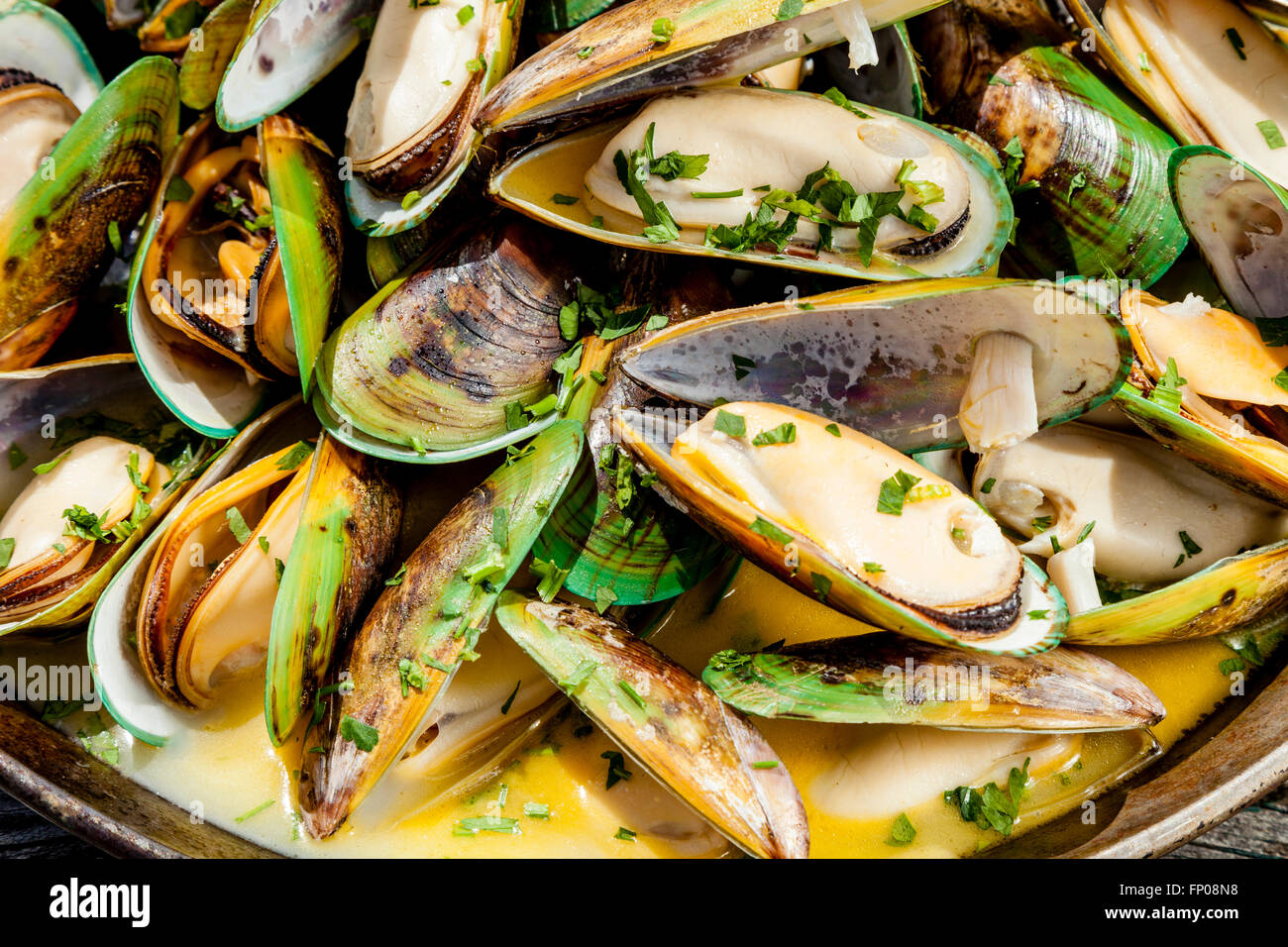 New zealand green lipped mussels -Fotos und -Bildmaterial in hoher  Auflösung – Alamy