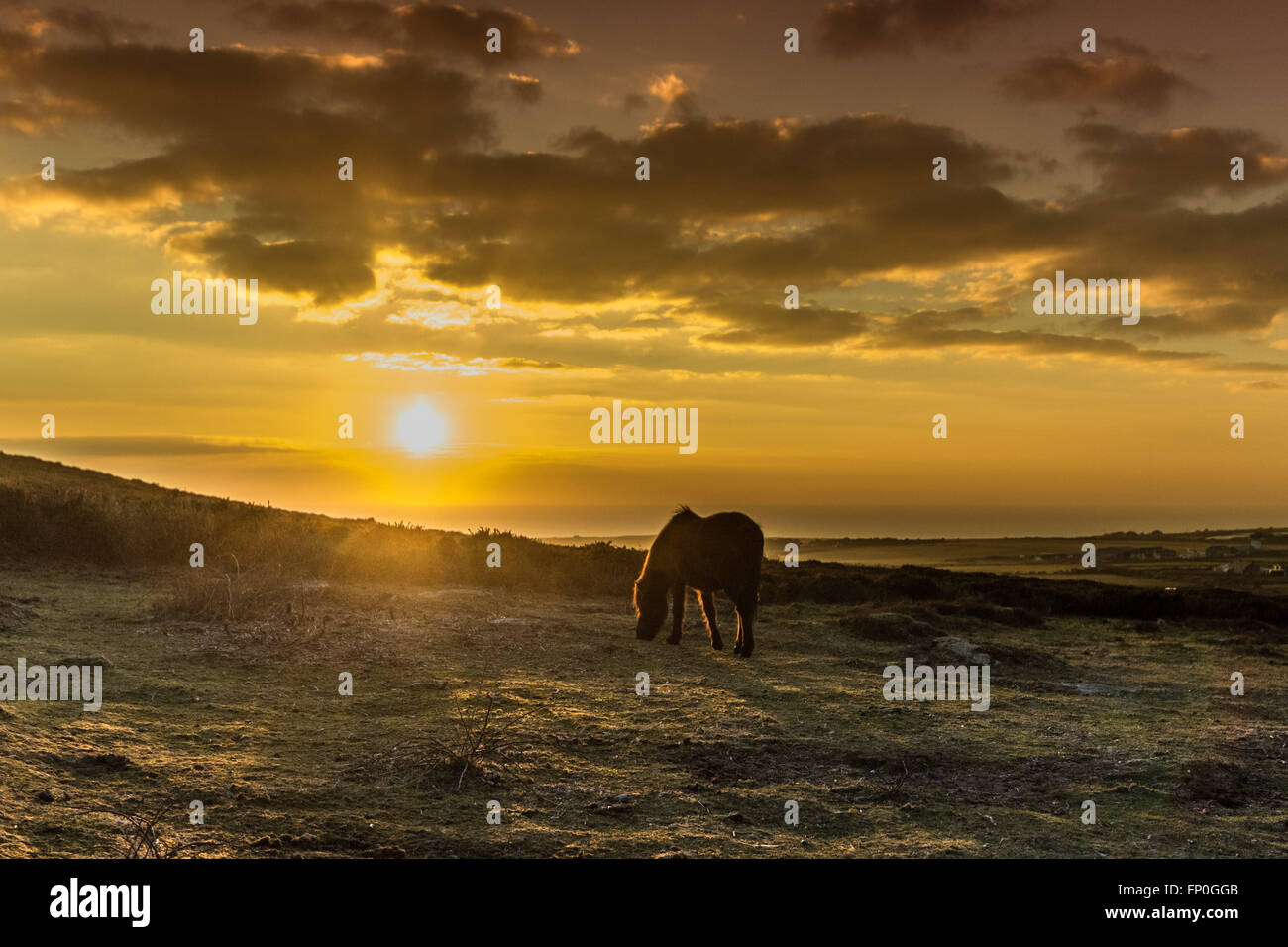 Lands End, Cornwall, UK. 16. März 2016. Großbritannien Wetter. Sonnenuntergang am Lands End. Bildnachweis: Simon Maycock/Alamy Live-Nachrichten Stockfoto