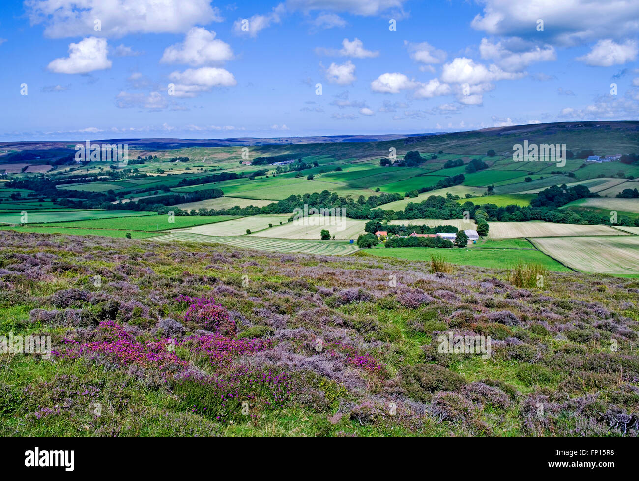 Blick vom Heidekraut Moorland Westerdale Moor über Farmland in Richtung Castleton Ridge, North York Moors, Yorkshire, England UK Stockfoto