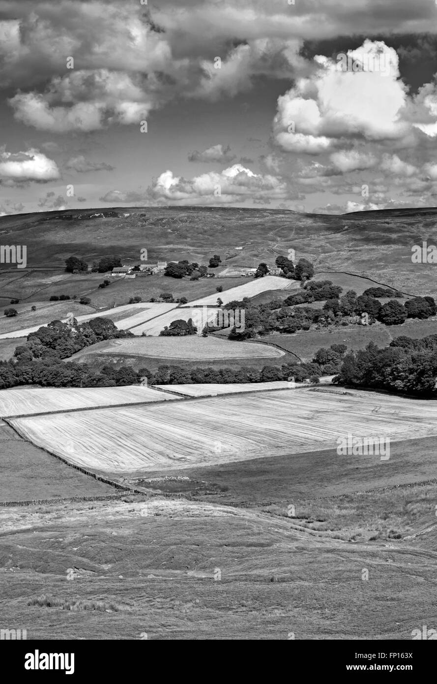 Monochrome Ansicht von Westerdale Moor über Farmland in Richtung Castleton Ridge, Sommer, North York Moors, Yorkshire, England UK Stockfoto