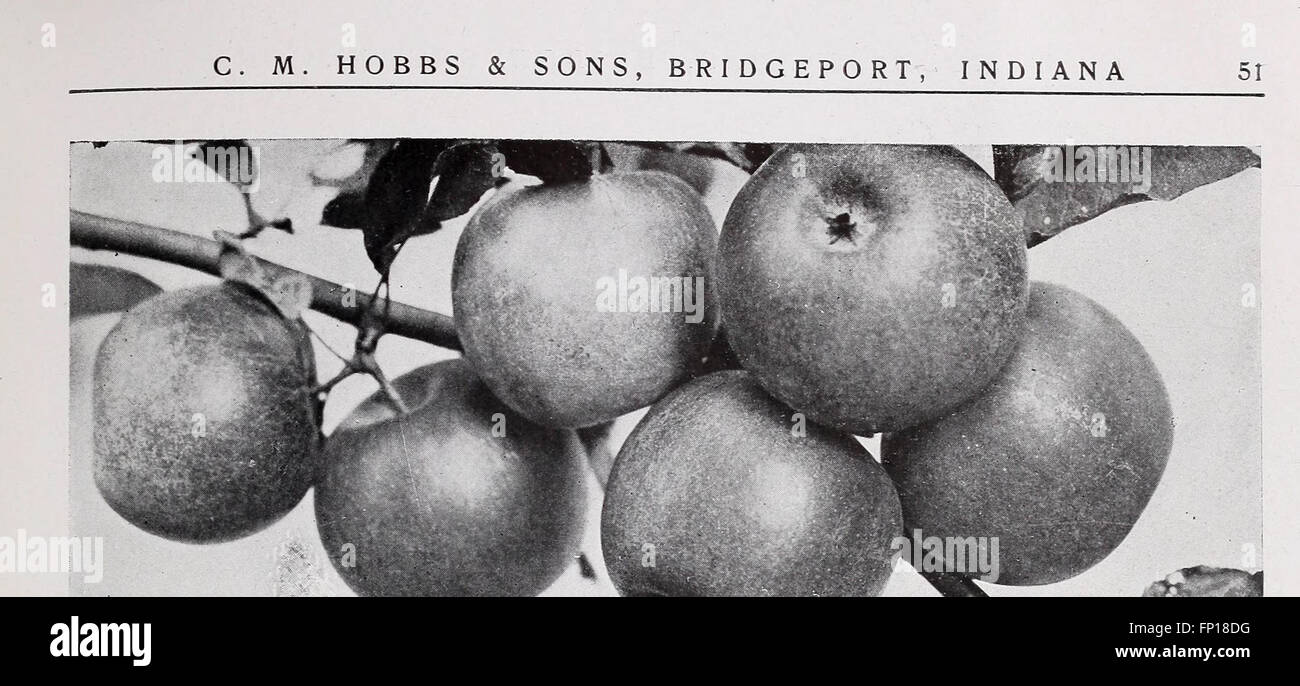 C. M. Hobbs und Söhne (1922) Stockfoto